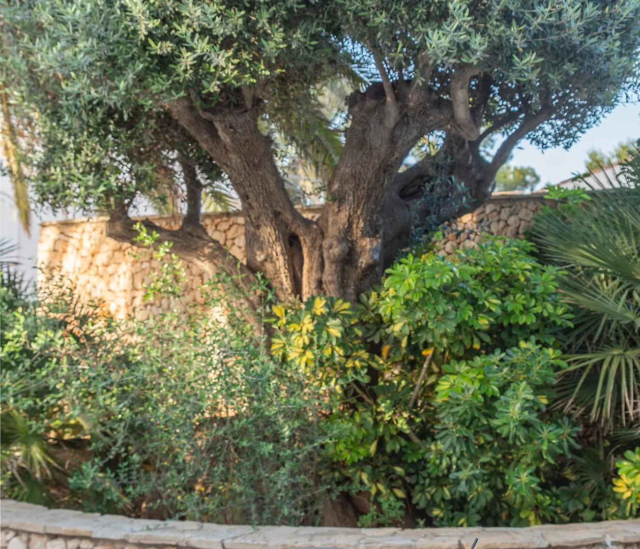 Smy Vistamar Portocolom (Adults Only) Hotel  Portocolom (Mallorca)